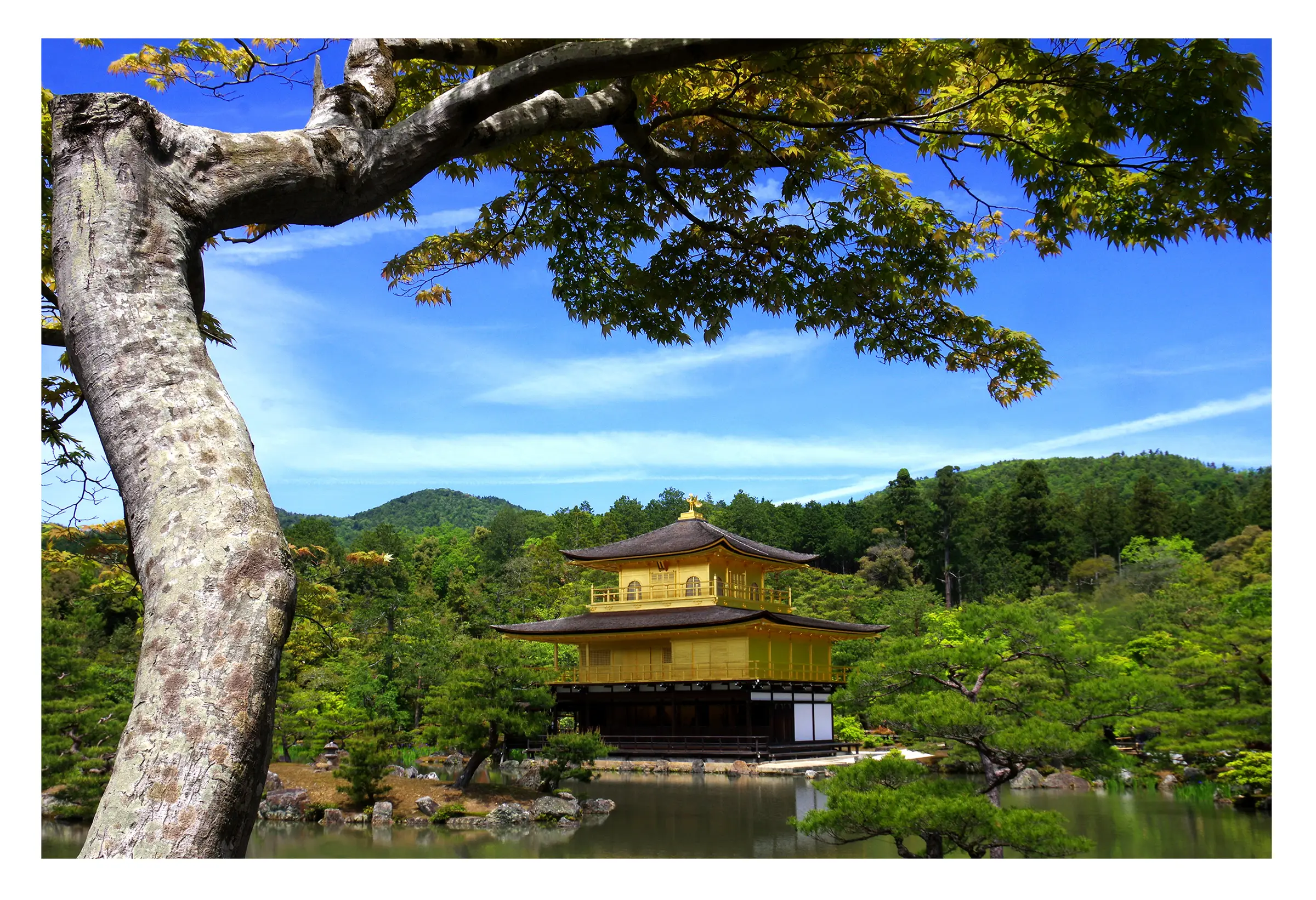 Japon