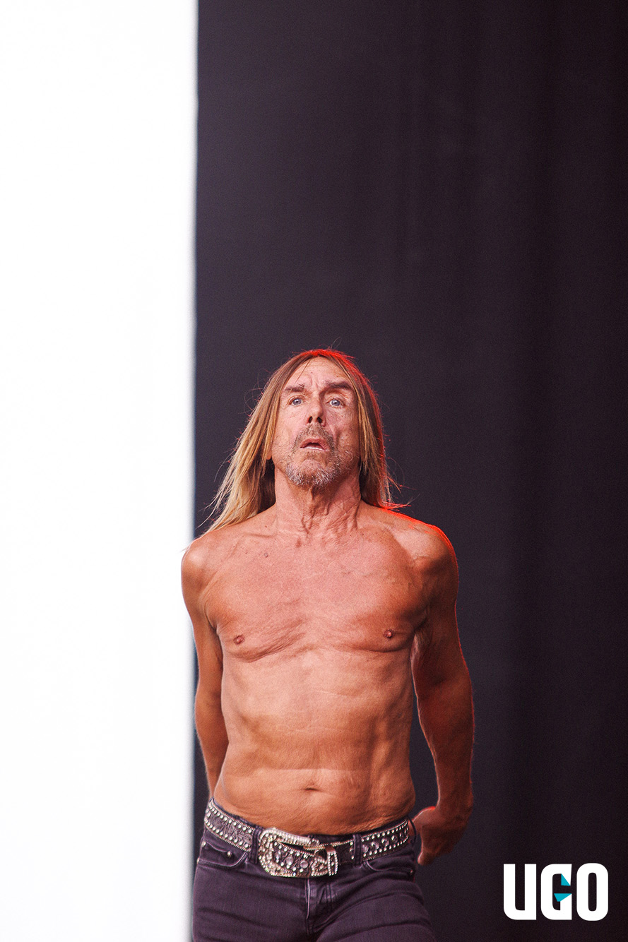 Iggy Pop en concert à Rock en Seine