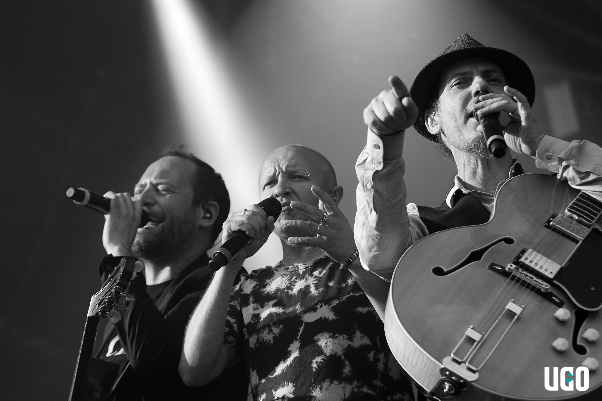Tryo en concert au Jardin du Michel